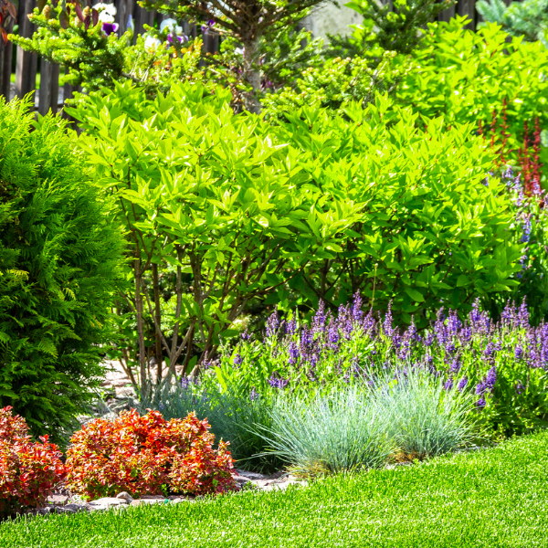 Garden Design West Lancashire